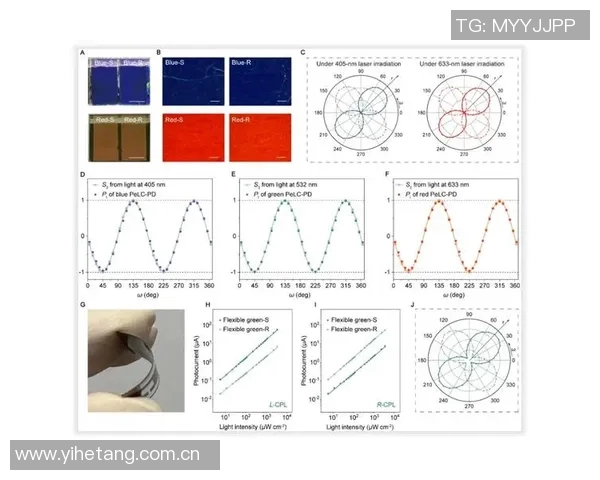 太阳评分揭晓：表现优异还是遭遇瓶颈引发热议