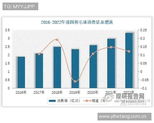 羽毛球顶级赛事选手状态分析及其对比赛表现的深度影响探讨